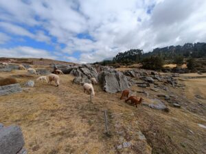 Sacsayhuaman