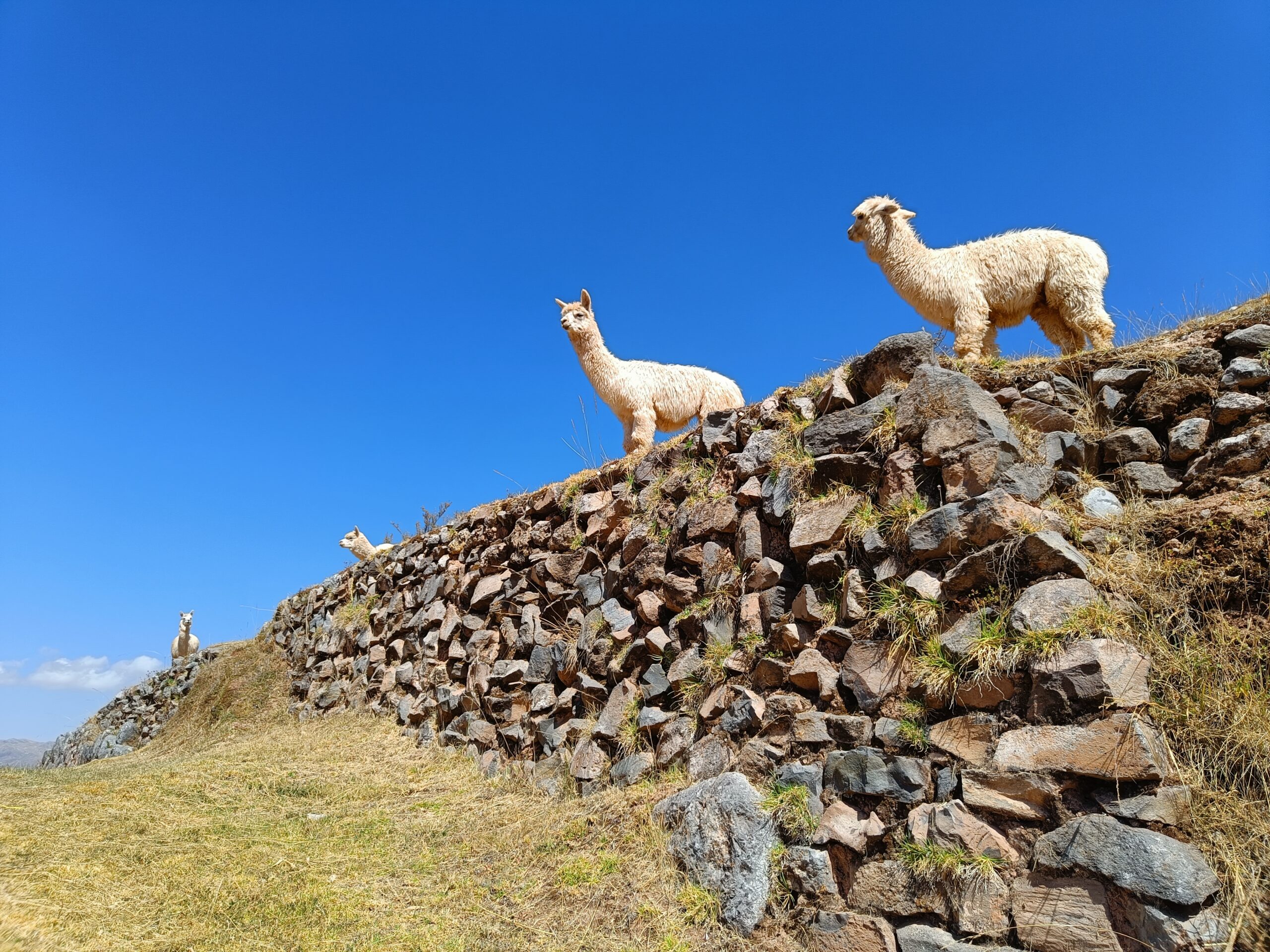 Sacsayhuaman