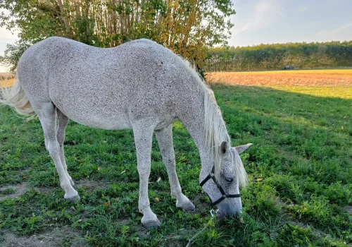 IMG20250826182103