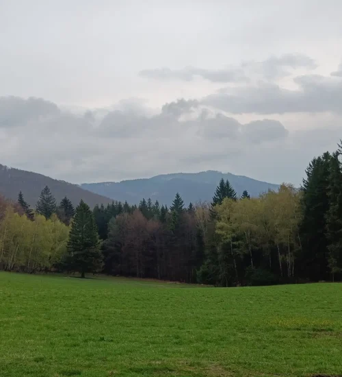 IMG20260419161907