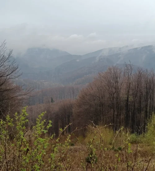 IMG20260419172719